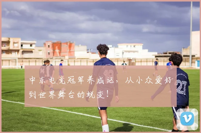 中东电竞冠军养成记，从小众爱好到世界舞台的蜕变！