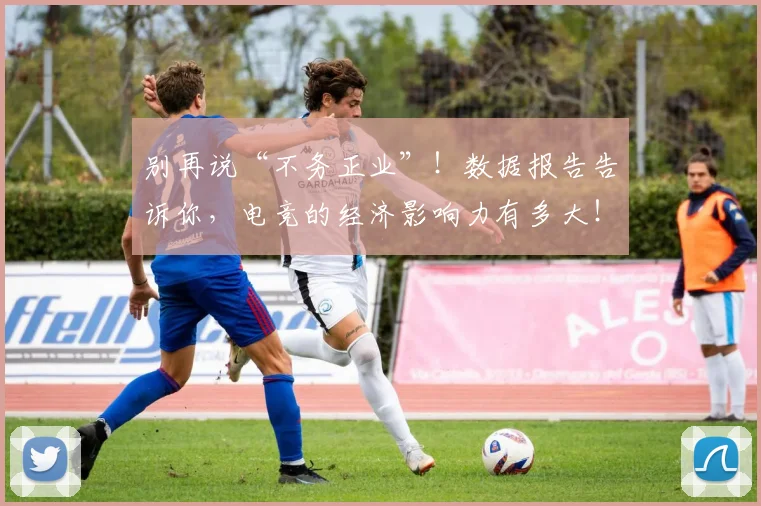 别再说“不务正业”!数据报告告诉你,电竞的经济影响力有多大!